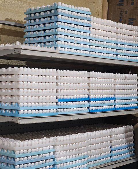 Stacked egg crates at Robinson's Quality Quail farm